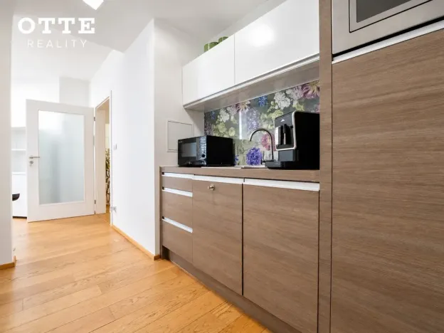 Prodej bytu 2+kk, Plzeň, Šafaříkovy sady, 60 m2