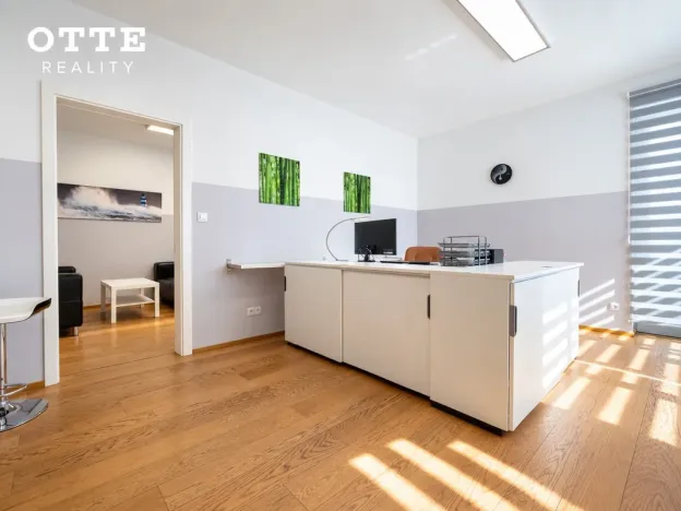 Prodej bytu 2+kk, Plzeň, Šafaříkovy sady, 60 m2
