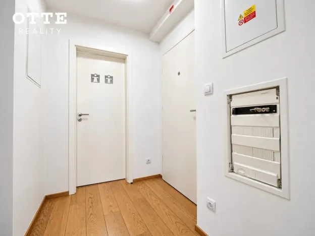 Prodej bytu 2+kk, Plzeň, Šafaříkovy sady, 60 m2