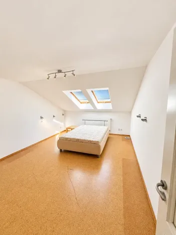 Prodej vícegeneračního domu, Plzeň, 28. října, 983 m2