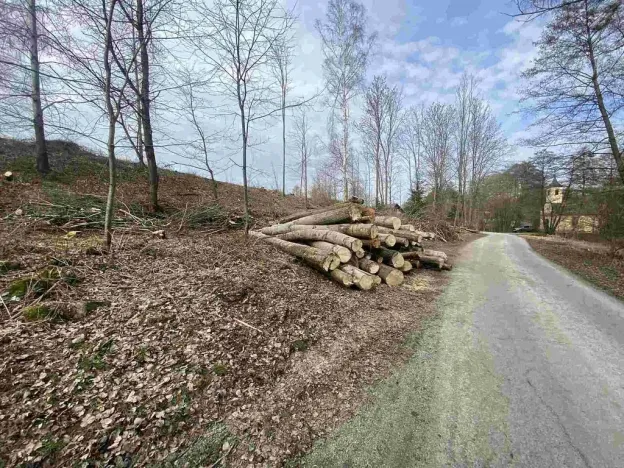 Prodej pozemku, Horní Stropnice - Šejby, 704 m2
