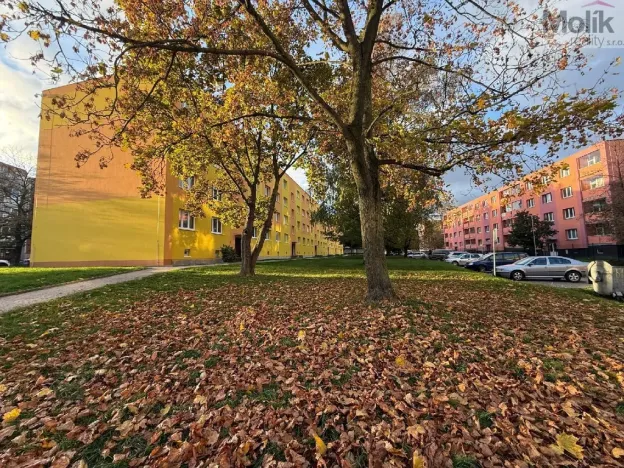 Prodej bytu 2+1, Bílina - Teplické Předměstí, M. Švabinského, 56 m2