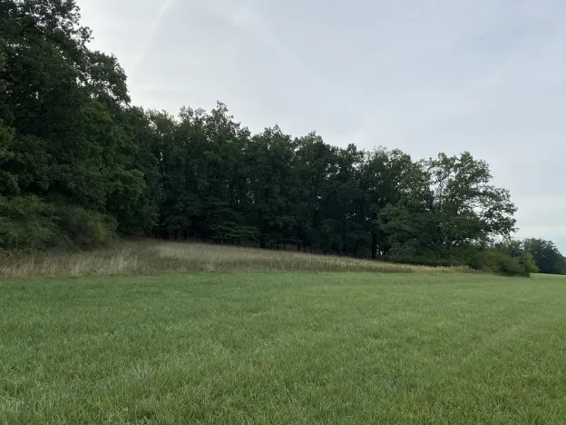 Prodej louky, Ostřetín - Vysoká u Holic, 2972 m2