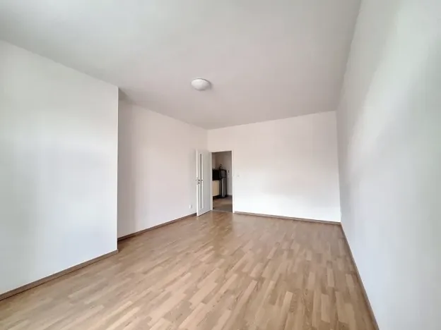 Pronájem bytu 2+1, Praha - Bubeneč, U zeměpisného ústavu, 49 m2