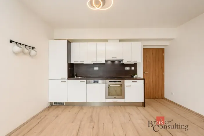 Pronájem bytu 2+kk, Plzeň - Bolevec, U Velkého rybníka, 59 m2