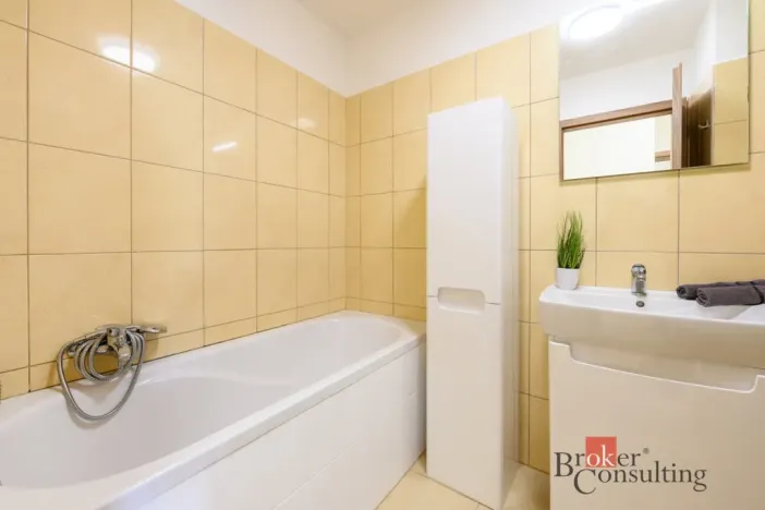 Pronájem bytu 2+kk, Plzeň - Bolevec, U Velkého rybníka, 59 m2