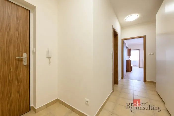 Pronájem bytu 2+kk, Plzeň - Bolevec, U Velkého rybníka, 59 m2