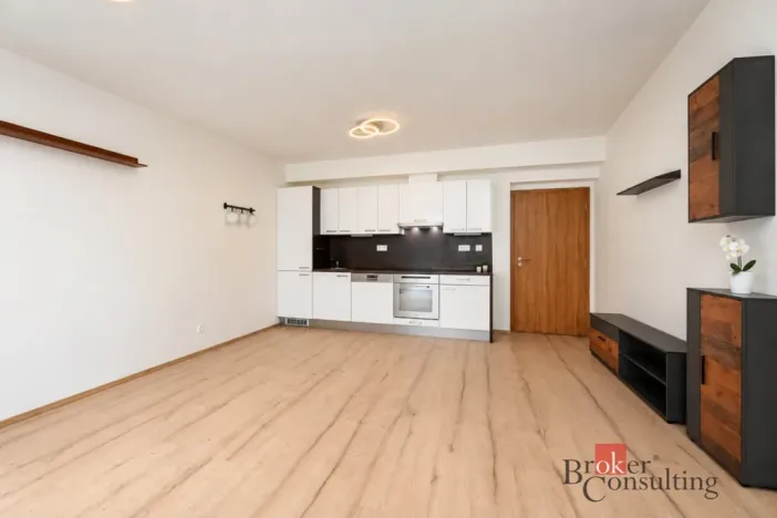 Pronájem bytu 2+kk, Plzeň - Bolevec, U Velkého rybníka, 59 m2