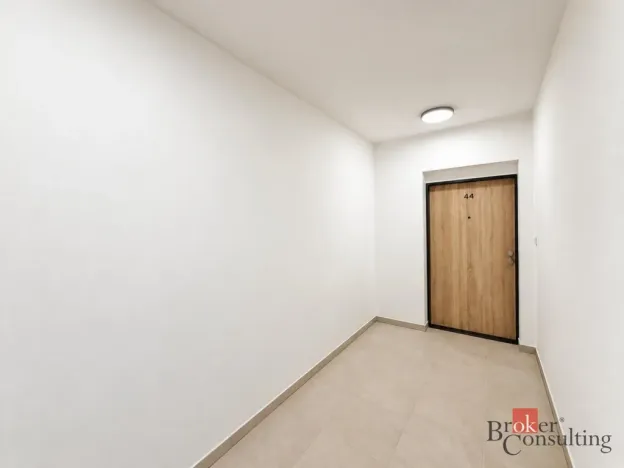 Pronájem bytu 2+kk, Plzeň - Jižní Předměstí, Železná, 56 m2