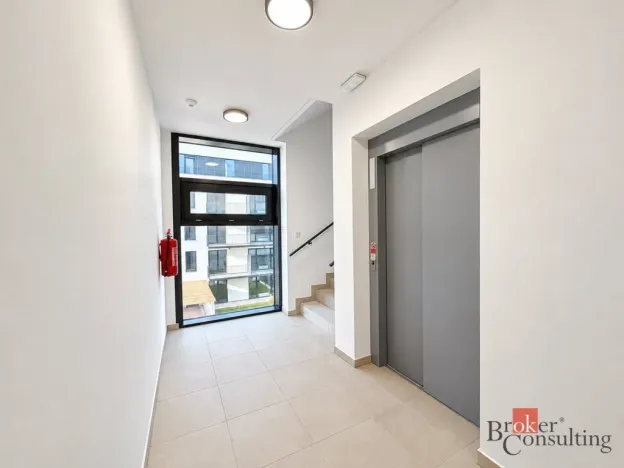 Pronájem bytu 2+kk, Plzeň - Jižní Předměstí, Železná, 56 m2