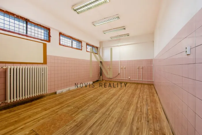 Pronájem skladu, Plzeň, Domažlická, 43 m2