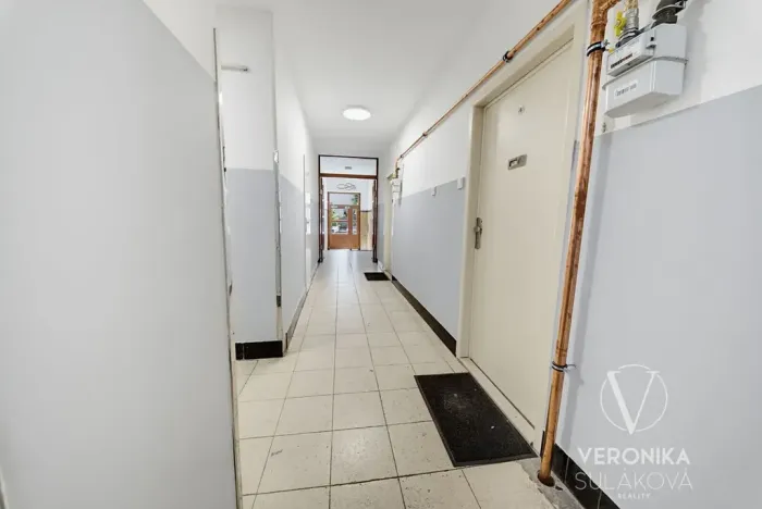 Prodej bytu 2+kk, Praha - Nusle, Kloboučnická, 50 m2