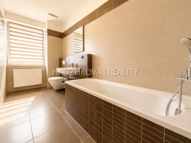 Pronájem bytu 2+kk, České Budějovice - České Budějovice 2, U Boru, 40 m2