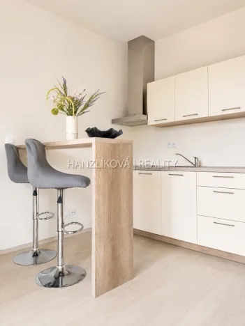 Pronájem bytu 2+kk, České Budějovice - České Budějovice 2, U Boru, 40 m2