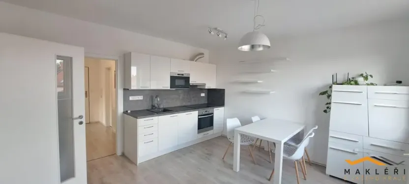 Pronájem bytu 3+kk, Jihlava, Halasova, 65 m2