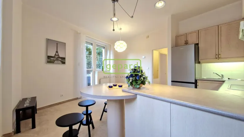 Pronájem bytu 2+kk, Praha - Libeň, Společná, 46 m2