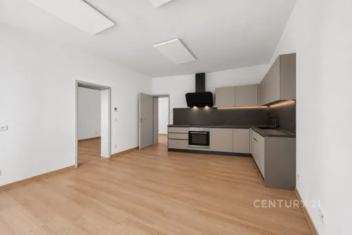 Pronájem bytu 2+kk, Plzeň, okres plzeň-město, Radyňská, 54 m2