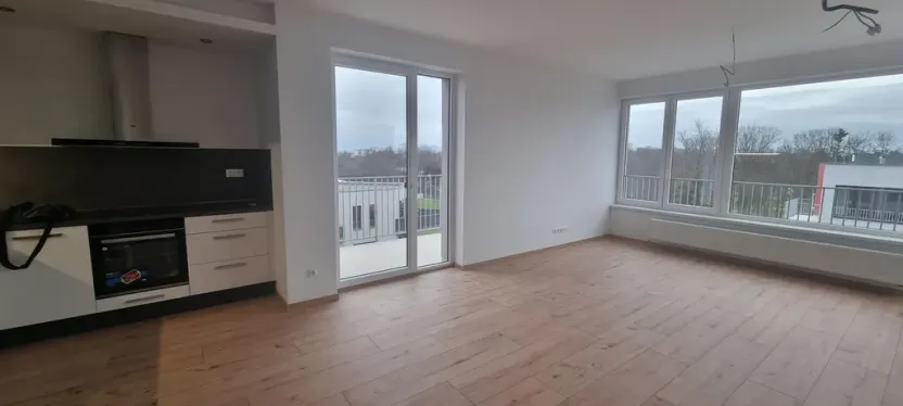Pronájem bytu 2+kk, Zelené Předměstí, Pod Vinicí, 68 m2