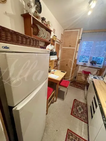 Prodej bytu 2+1, Velké Opatovice, Eduarda Ušela, 53 m2