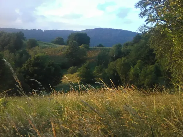 Pronájem louky, Velké Březno, 39851 m2