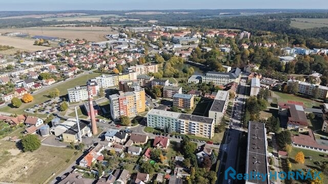 Prodej bytu 2+1, Bechyně, Písecká, 46 m2