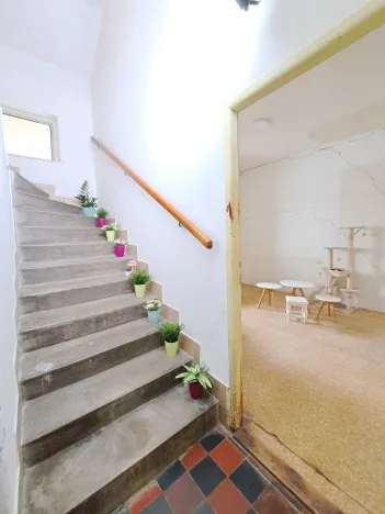 Prodej rodinného domu, Brno, Bělohorská, 122 m2