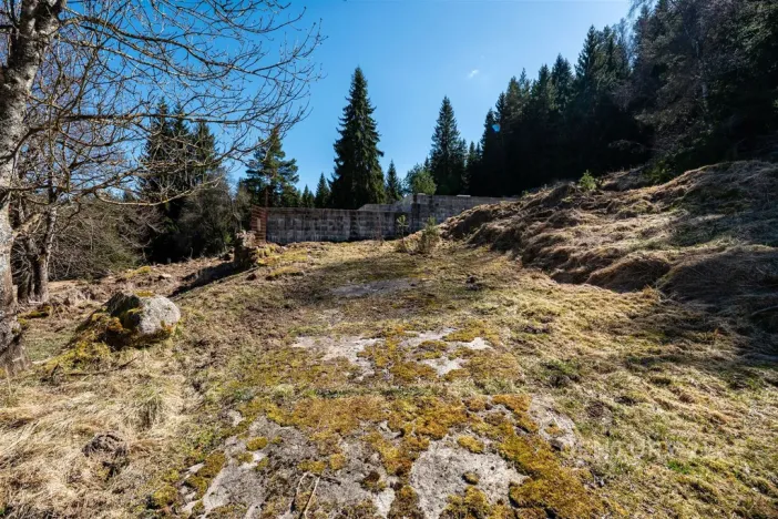 Prodej pozemku pro bydlení, Stožec, okres prachatice, 10137 m2