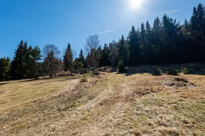 Prodej pozemku pro bydlení, Stožec, okres prachatice, 10137 m2