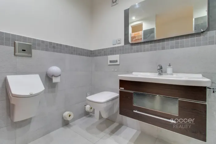 Pronájem bytu 2+kk, Vojkovice, 84 m2