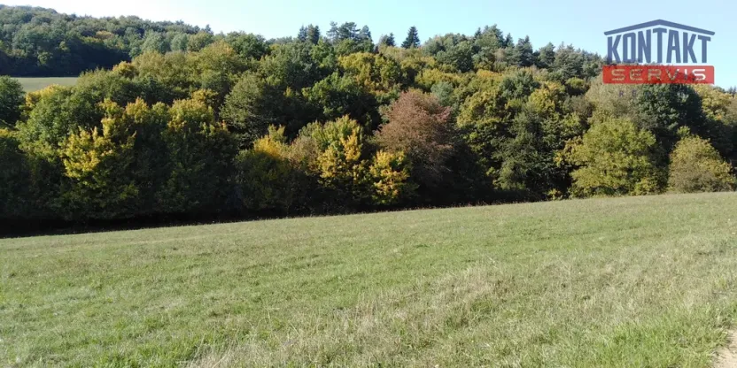 Prodej pole, Podkopná Lhota, 9092 m2