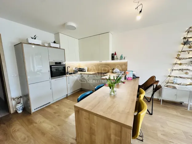 Pronájem bytu 2+kk, České Budějovice - České Budějovice 3, Nová, 80 m2