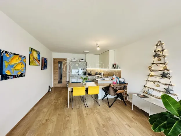 Pronájem bytu 2+kk, České Budějovice - České Budějovice 3, Nová, 80 m2