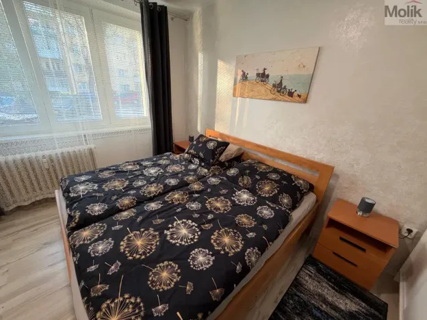 Prodej bytu 2+1, Most, Obránců míru, 50 m2