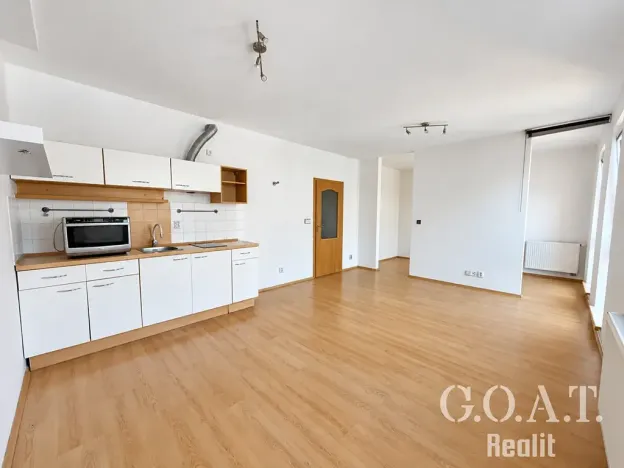 Prodej bytu 1+kk, Plzeň, Karlova, 44 m2