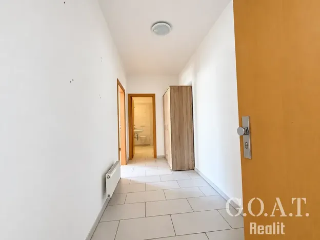 Prodej bytu 1+kk, Plzeň, Karlova, 44 m2