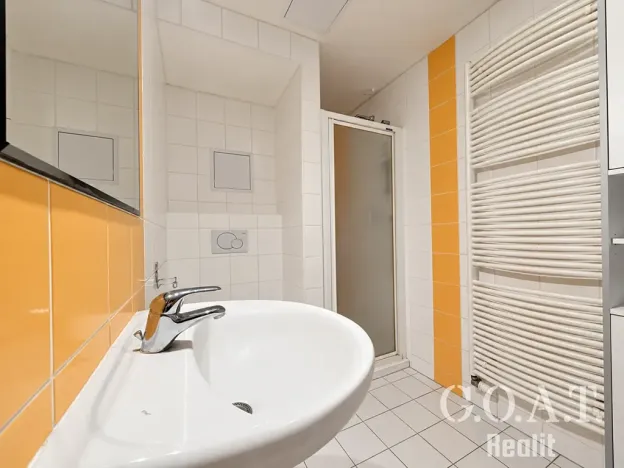 Prodej bytu 1+kk, Plzeň, Karlova, 44 m2