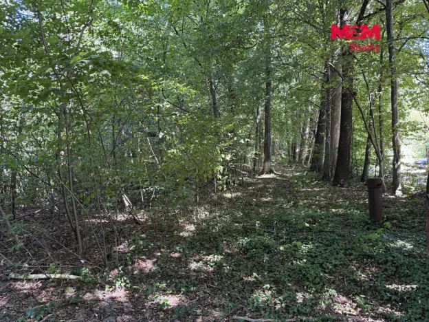 Prodej komerčního pozemku, Řepiště, 3402 m2