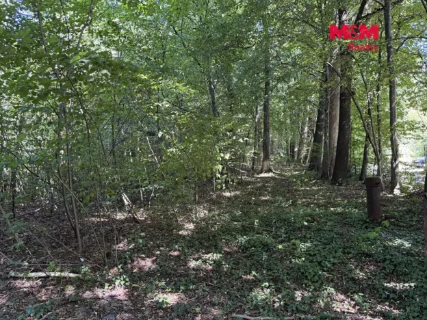 Prodej pozemku pro bydlení, Řepiště, 3402 m2