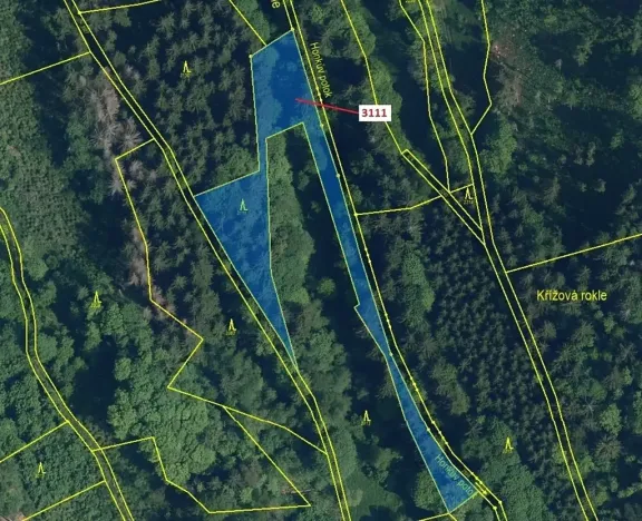Dražba lesa, Benešov u Semil, 2958 m2