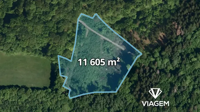 Prodej podílu lesa, Janová, 5802 m2