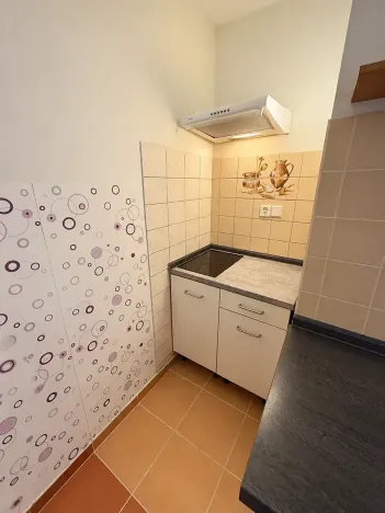 Prodej bytu 1+kk, Jílové u Prahy, Holíkova, 44 m2