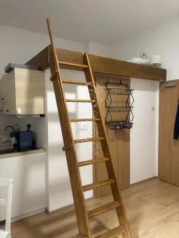 Prodej bytu 1+kk, Praha - Nové Město, Sokolská, 24 m2