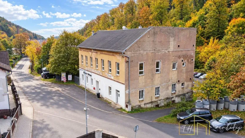 Prodej komerční nemovitosti, Litvínov - Šumná, Sokolská, 1000 m2