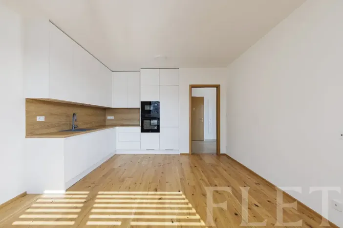Pronájem bytu 2+kk, Praha - Nusle, Závišova, 54 m2
