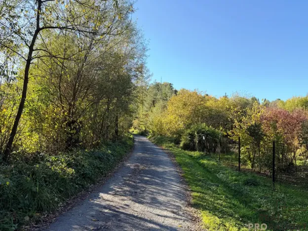 Prodej zahrady, Havířov, Luční, 933 m2