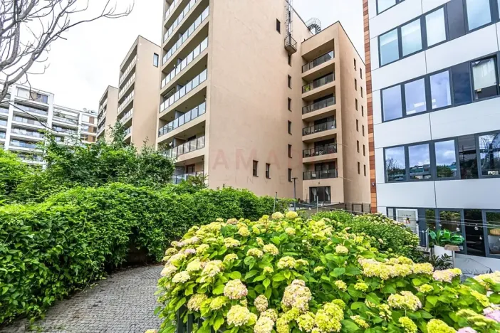 Prodej bytu 1+kk, Praha - Karlín, U Mlýnského kanálu, 80 m2