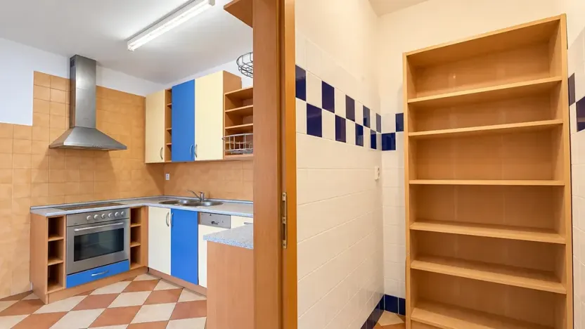 Prodej bytu 4+1, Praha - Vinohrady, Francouzská, 140 m2