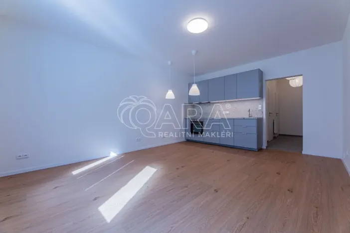 Pronájem bytu 1+kk, Praha - Žižkov, Viklefova, 34 m2