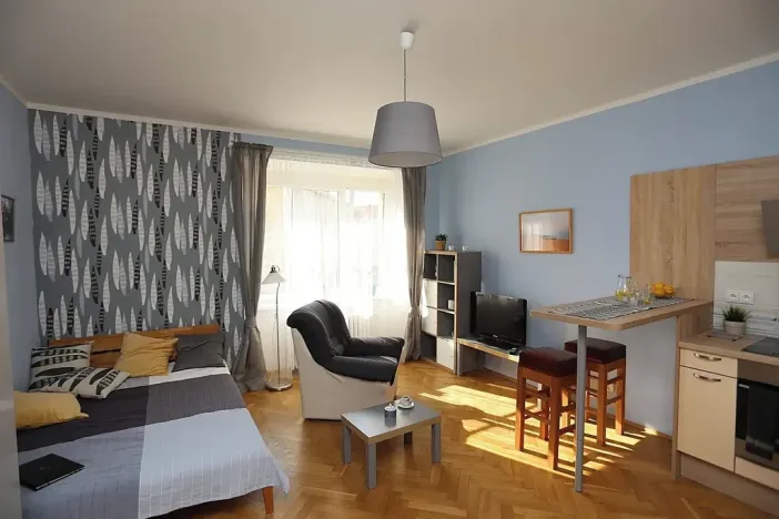 Pronájem bytu 1+kk, Praha - Nusle, U křížku, 27 m2