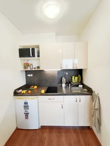 Pronájem bytu 1+kk, Brno, Skořepka, 24 m2